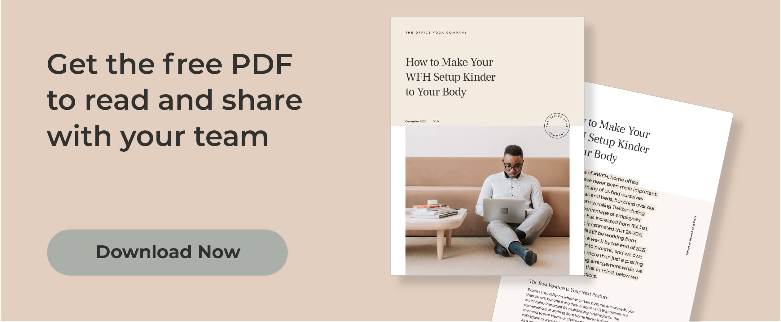 Download the free PDF