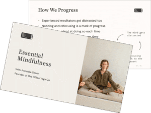 Essential Mindfulness